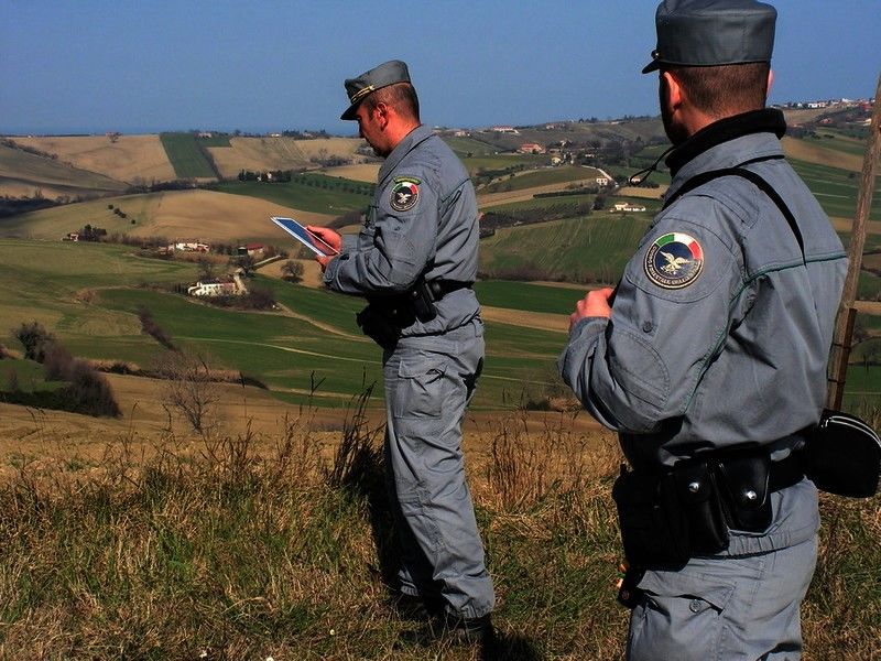 Bando di concorso per agenti forestali, Fp Cgil Sicilia: “Gli effetti sulle presunte violazioni non ricadano sui lavoratori del Corpo Regionale”